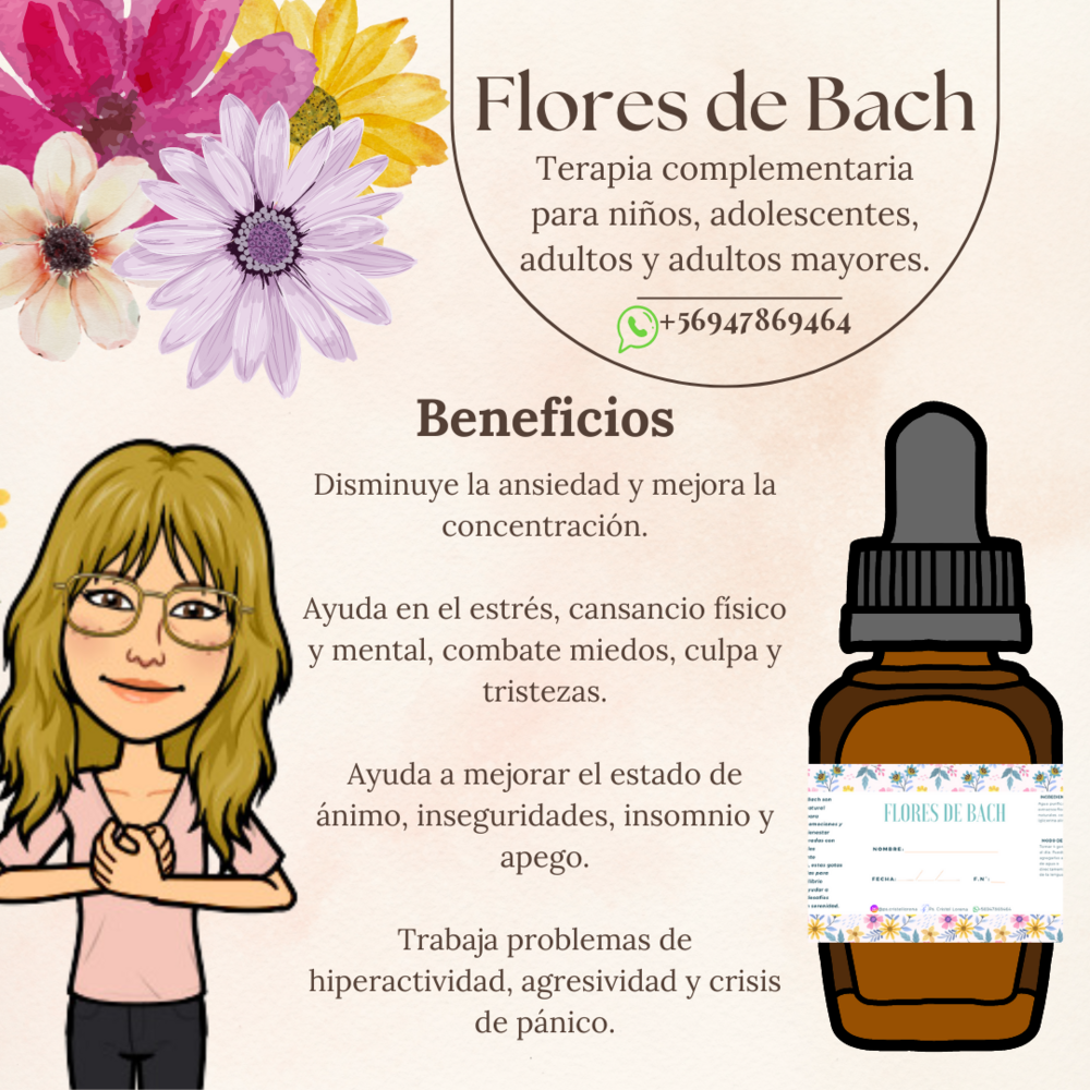 Imagen 1