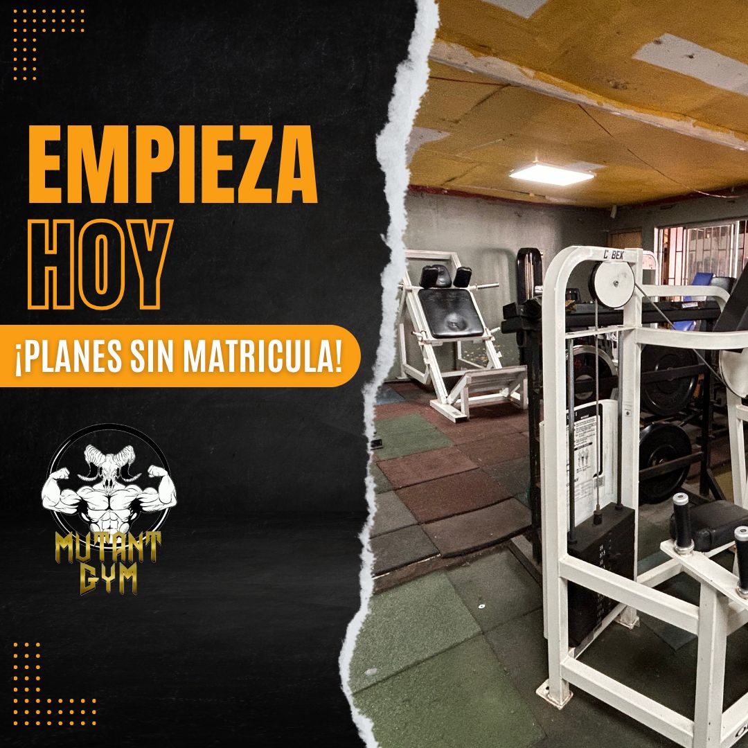 Imagen 2